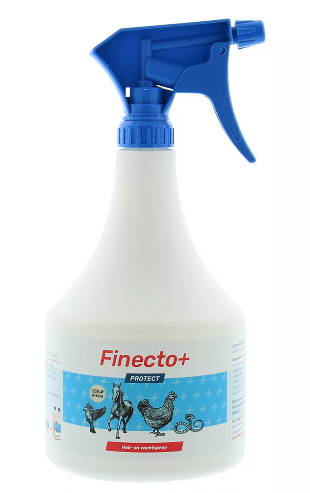 Finecto + Protect