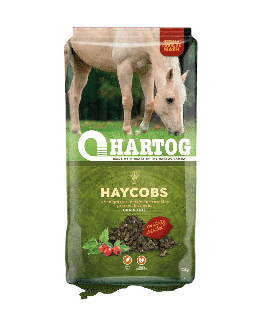 Hartog Haycobs 