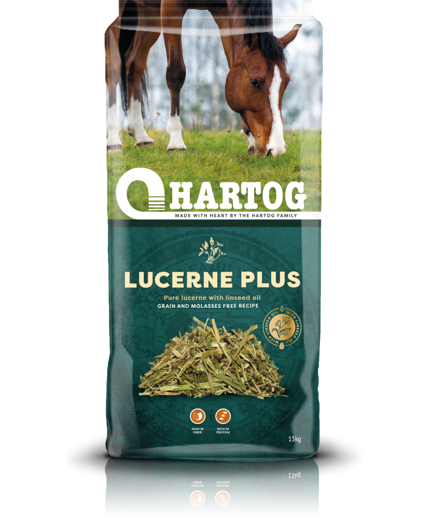 Hartog Lucerne Plus