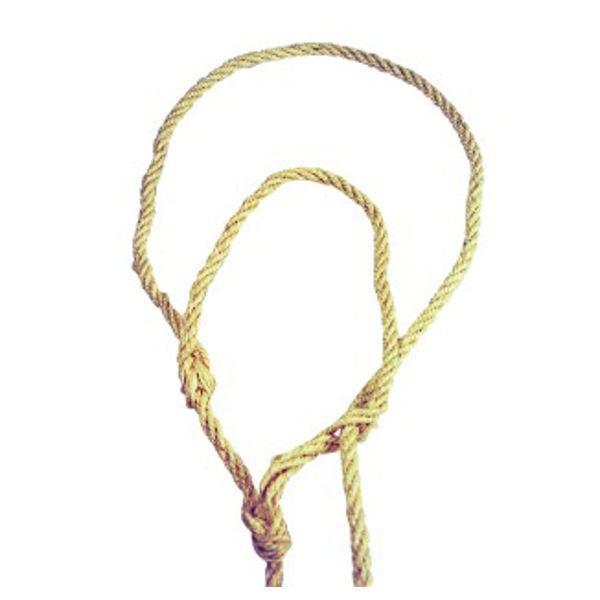 Koehalsters & koetouwen